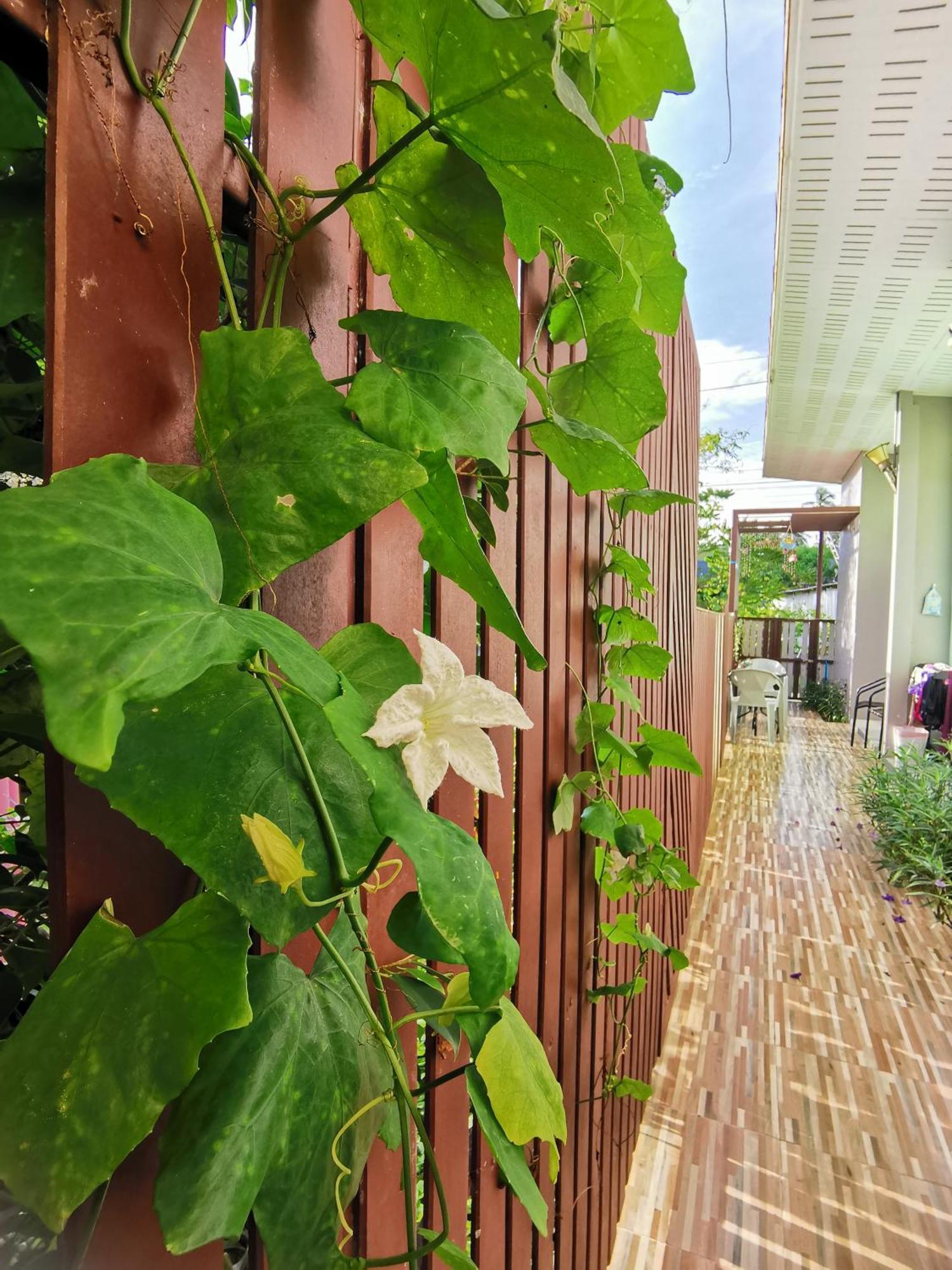 De​ Lanta Place Ко-Ланта Номер фото